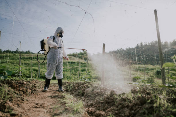 Best Best Pest Control Companies  in Natalia, TX