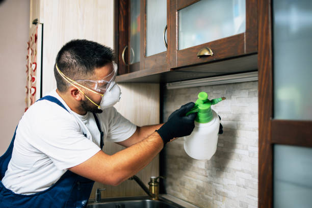 Best Residential Pest Control  in Natalia, TX