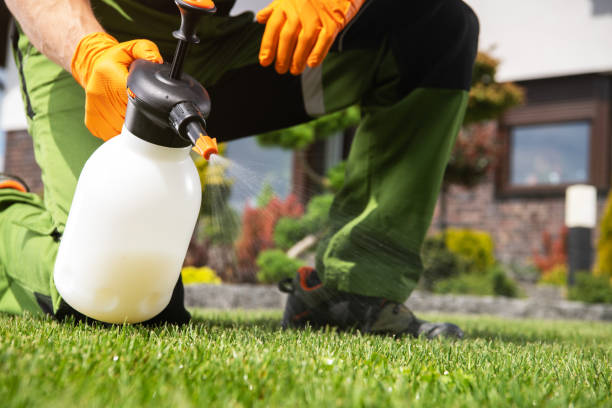Best Affordable Pest Control Services  in Natalia, TX
