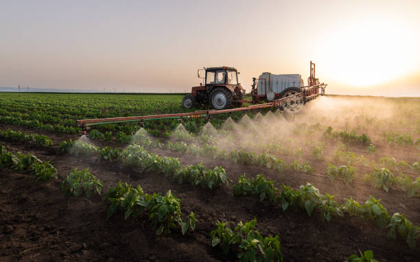 Best Best Pest Control Companies  in Natalia, TX
