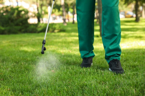 Best Residential Pest Control  in Natalia, TX