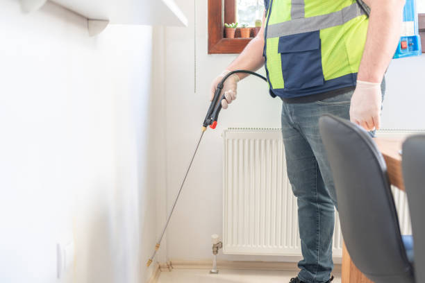 Professional Pest Control in Natalia, TX