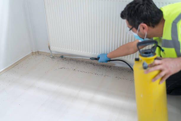 Best Affordable Pest Control Services  in Natalia, TX