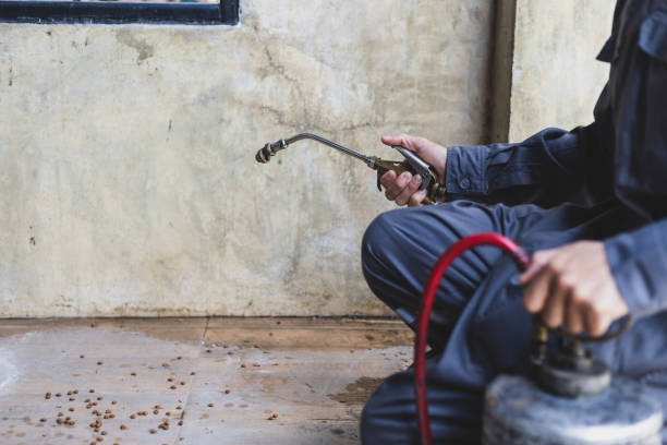 Best Mosquito Control Services  in Natalia, TX